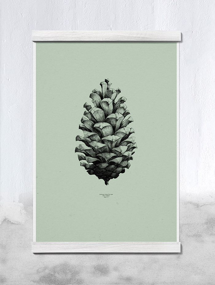 paper collective_FUWL-Green-pine-cone